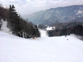 IMG_8261.JPG
